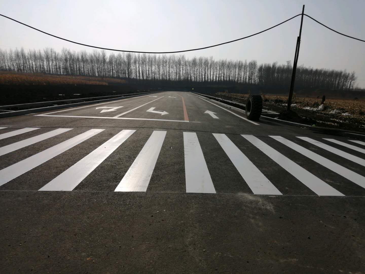 mmexport1604543863279.jpg
